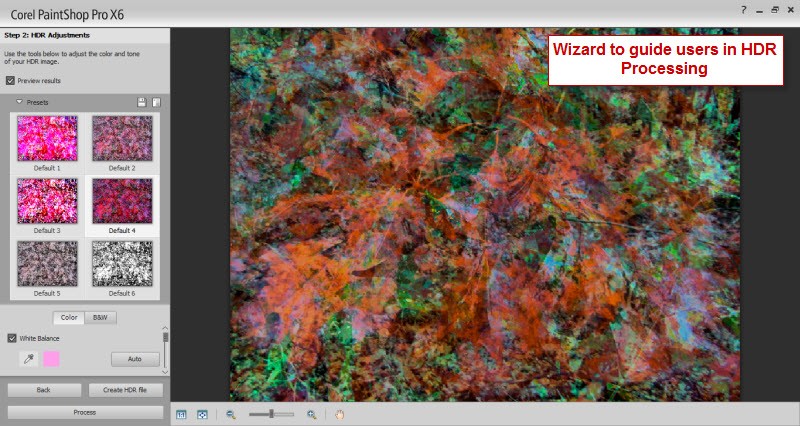 corelpp6wizard